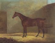 John Boultbee A Chestnut Hunter With A Groom By a Building Sweden oil painting artist